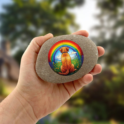 Rainbow Labrador Yellow Pebble